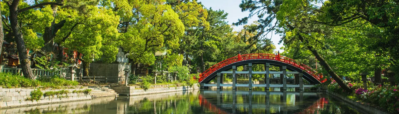 Aberdare National Park