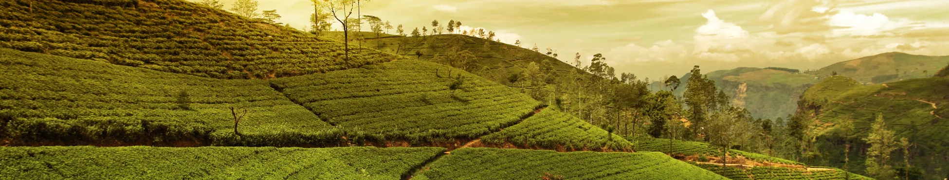 East And North East India Tour Packages