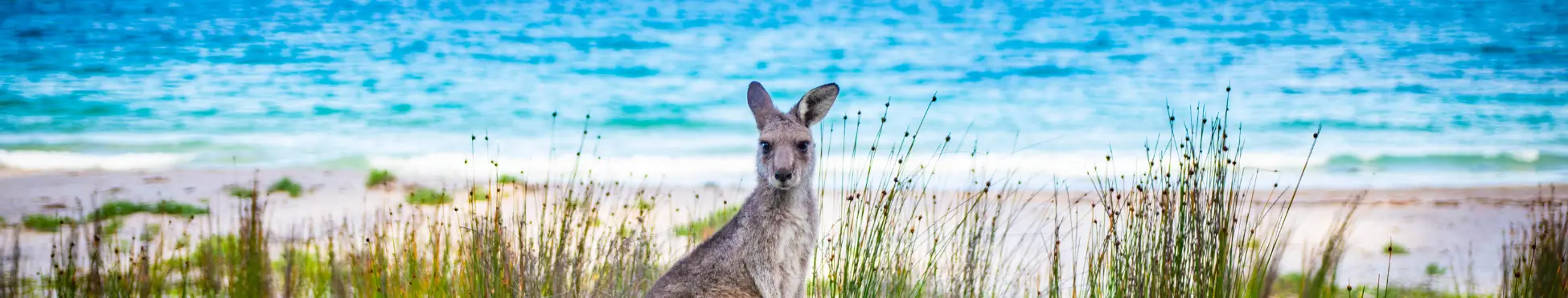 Kangaroo Island