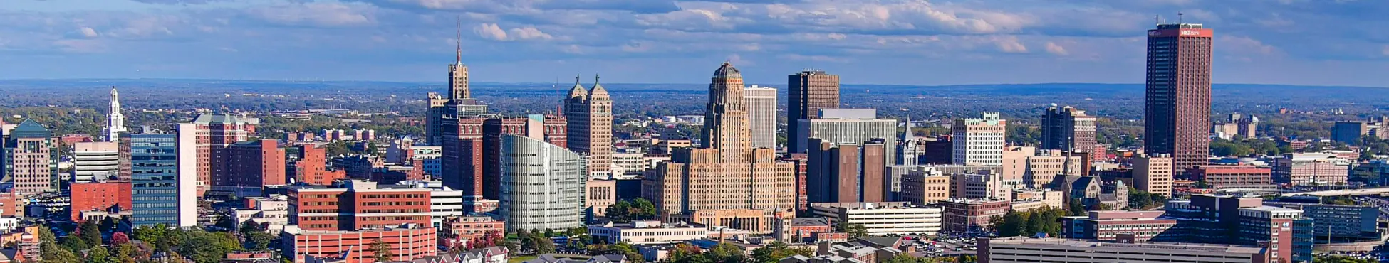 Buffalo